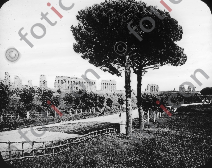 Via Appia | Via Appia - Foto simon-107-007-sw.jpg | foticon.de - Bilddatenbank für Motive aus Geschichte und Kultur